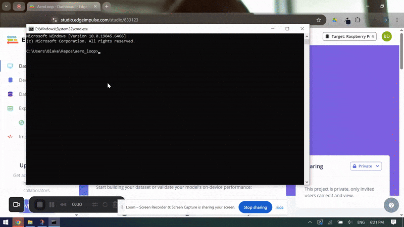 Run Annotator